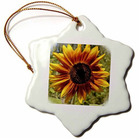 3dRose Orange and Yellow Summer Sunflower Flowers Snowflake Ornament, Porcelain, Multi-Colour, 3-Inch