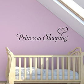 Princess Sleeping Wall Art Sticker Girls Bedroom Kids Quote Decal Mural Transfer WSD597