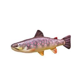 Decorative cushion in the shape of a real fish, mini brook trout