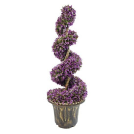 Leaf Large Artificial Spiral Tree with Decorative Planter, 90cm Purple