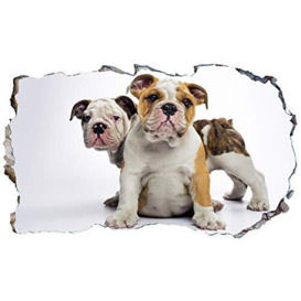Bulldog Puppy Dog 3D V102 Magic Window Wall Sticker Self Adhesive Poster Wall Art Size 1000mm Wide x 600mm deep (Large)