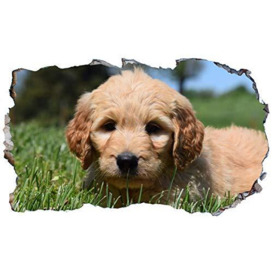Cockapoo Puppy Dog 3D V102 Magic Window Wall Sticker Self Adhesive Poster Wall Art Size 1000mm Wide x 600mm deep (Large)