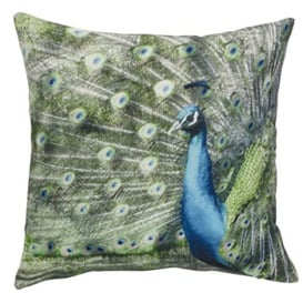 Elbersdrucke Peacock 03 45 x 45 cm Cotton Cushion, Green/Blue