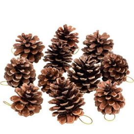 Whaline 25 Pcs 1.6-2.4 Inches Christmas Pine Cones Decoration with String, Natural Rustic Pinecones Bulk Ornaments for Crafting for Home Accent Decor, Fall Thanksgiving Tree Decoration