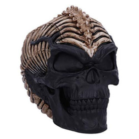 Nemesis Now Officially Licensed James Ryman Spine Head Skull Skeleton Ornament, Natural, 18.5cm