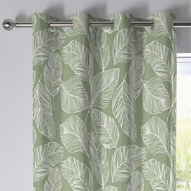 "Fusion - Matteo - 100% Cotton Pair of Eyelet Curtains - 66"" Width x 54"" Drop (168 x 137cm) in Green"