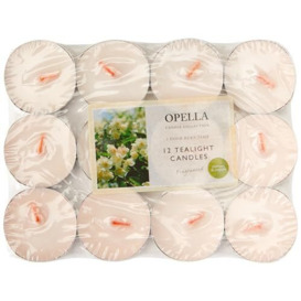OPELLA Scented Tea Lights Pack of 12 Various scents Candles tealights Fast Post (Jasmine Blossom)
