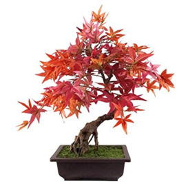 Leaf Artificial Small Bonsai Tree, 50cm Red Acer Bonsai, 50cm