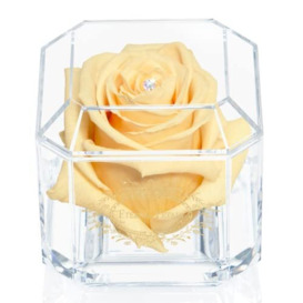 Eternal Petals A 100% Real Rose That Lasts Years, Handmade in UK – Gold Solo with A Multicolour Swarovski Crystal (Champagne)