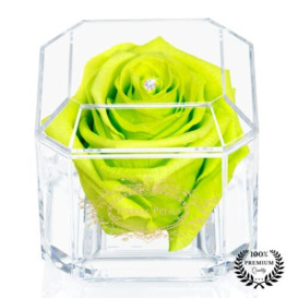 Eternal Petals A 100% Real Rose That Lasts Years, Handmade in UK – Gold Solo with A Multicolour Swarovski Crystal (Lime)