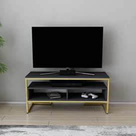 DECOROTIKA - Merrion Industrial 110 cm TV Stand and Media Console (Gold/Anthracite)