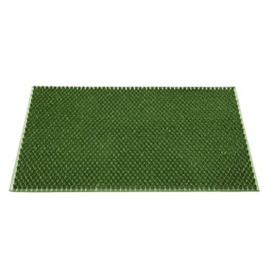 HAMAT - Rally Doormat 40 x 60 cm Green