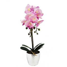 Leaf Design UK Realistic Artificial Orchid Flower Display in Pot, Light Pink Silver, 50cm