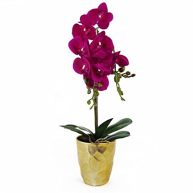 Leaf Design UK Realistic Artificial Orchid Flower Display in Pot,Dark Pink Gold,54cm
