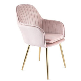 RayGar Genesis Muse Velvet Fabric Tub Chair With Gold Finish Metal Tube Legs (Silver Pink)