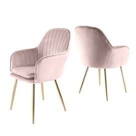 RayGar Genesis Muse Velvet Fabric Tub Chair Set Of 2 With Gold Finish Metal Tube Legs (Silver Pink)
