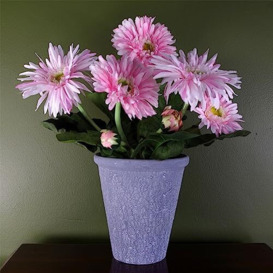 Leaf Pink Potted Daisy Flowering Plant Artificial