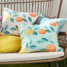 Dreams & Drapes Design - Botanical Fruits Outdoor - Water & UV Resistant Filled Cushion - 43 x 43cm in Green