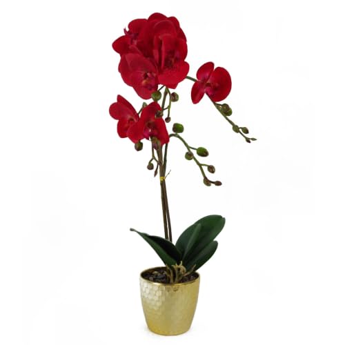Leaf Design UK Realistic Artificial Orchid Flower Display in Pot