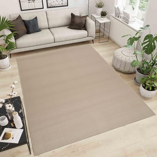 Simple Low Pile Rugs Living Room – Modern Tufted Area Rugs for Living Room with Felt Backing Light Beige 60x110 cm