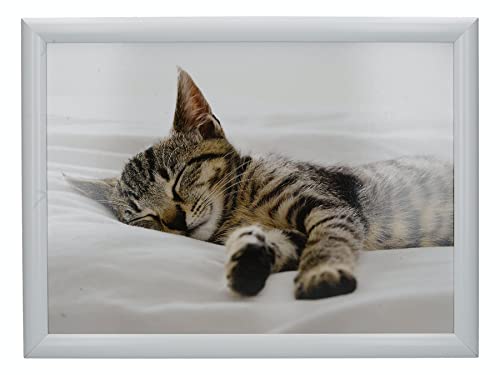 "Creative Tops ""Kitten"" Lap Tray with Cushion, Bean Bag Cushioned, 44 x 34cm, Multi-Colour"