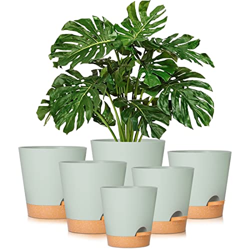 GARDIFE Plant Pots 8/7/6.5/6/5.5/5 Inch Self Watering Planters with Drainage Hole, Plastic Flower Pots, Planters for All House Plants, Succulents,Snake Plant, African Violet, Flowers, and Cactus