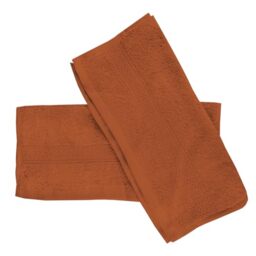 Soleil d'ocre Pack of 2 Guest Towels Cotton 500 g/m² 30 x 40 cm Lagune Terra