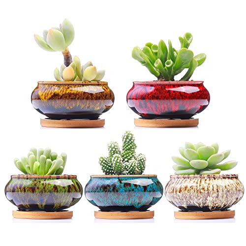 LamDawn Cute Ceramic Succulent Garden Pots, Planter with Drainage and Attached Saucer, Set of 5 -Plants Not Included (Burner)