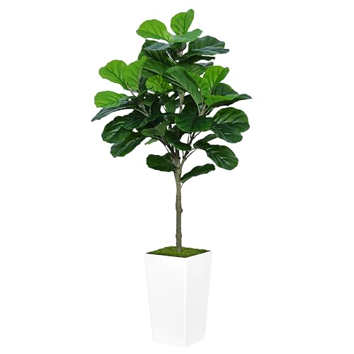 ASTIDY Fiddle Leaf Fig Tree Artificial 5FT - Faux Fiddle Leaf Fig Tree with White Tall Planter - Fake Ficus Lyrata Floor Plant Potted - Artificial Fig Tree for Home Office Living Room Decor Indoor