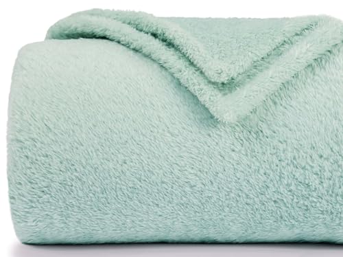 Felesha Fingal Plush Fleece Throw Blanket for Couch and Bed, Fluffy Fuzzy Cozy Anti-Static Soft Blankets All Season Use (60x80 Inches,Aqua)