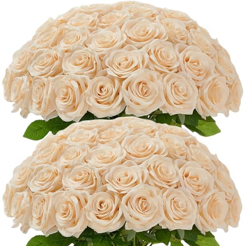Carlita???s Blooms 50Pcs Champagne Roses Artificial Flowers Artificial Silk Roses Bulk,Fake Roses Flower with Stems Realistic Flowers for Wedding Centerpiece Home Party Decor