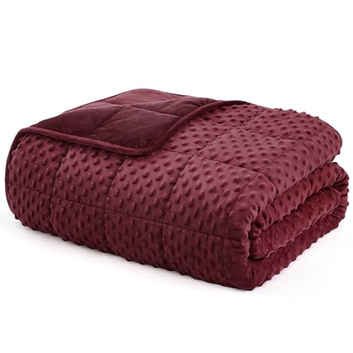 "L'AGRATY Weighted Blanket for Adult - 60""x80"" 20lbs Minky Dots Heavy Blanket with Glass Beads Soft Breathable for All-Season Summer Fall Winter Thick Comfort for Sleeping"