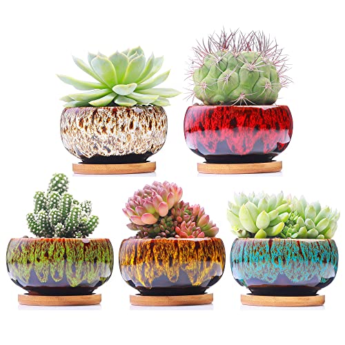 Cute Ceramic Succulent Garden Pots, Planter with Drainage and Attached Saucer, Set of 5 -Plants Not Included (Round)