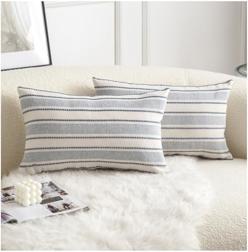 Cethom Decorative Boho Lumbar Throw Pillow Covers, Farmhouse Textured Pillow Case, 12 x 20 Inch Set of 2, Chair Sofa Bedroom Living Room Home Decor Couch Cushion Case, Classic Blue and Beige
