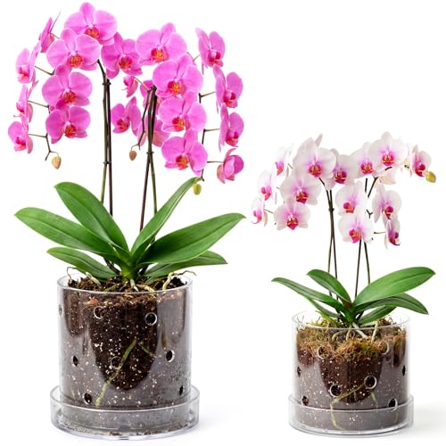 Yiyiring 6 Inch 7 Inch Clear Acrylic Orchid Planter Pot with Tray and Drainage Holes Planter Pot, Saucer for Bottom Watering Transparent Containers for Indoor Orchids Flower Repotting Home Decor