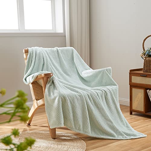 "NEWCOSPLAY Flannel Fleece Throw Blanket Lightweight Soft All Season Use (888-mint, Throw(50""x60""))"