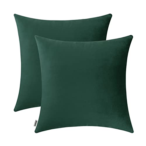 Jeneoo Comfy Soft Thick Velvet Throw Pillow Covers Decorative Solid Square Couch Cushion Cases for Bedroom Sofa Car Decor (Hunter Green, 16 x 16 Inches, 2 Pieces)