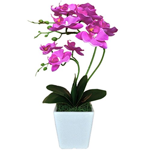 "YSZL 15"" Tall Artificial Silk Phalaenopsis Orchid Flower Plant Pot Arrangements (Dark Blue-Purple)"