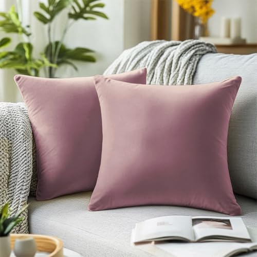 QUORGVES Dusty Pink Rose Coral Velvet Throw Pillow Cushion Covers 20x20 Inch Pack of 2 Soft Square Solid Throw Pillow Cover Set of 2
