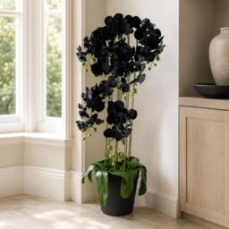 Botanik Realistic Artificial Orchid Plants Fully Potted