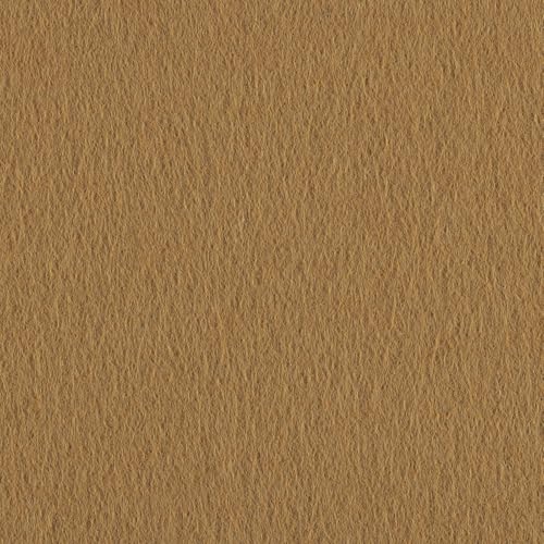 Felt Fabric Sheets 10-Piece, 20 cm Length x 30 cm Width x 0.1 cm Thickness, Light Brown