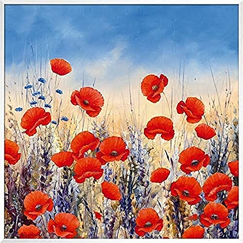 International Graphics - Framed art print - Hilary, Mayes - ''Sunset Poppies''- 51 x 51 cm - Frame Color: White - Series ATHOS