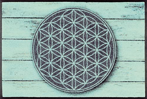 Wash + Dry Door Mat, Top: 100% Cotton, Green, 50/75
