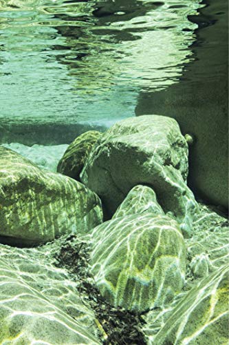 Scenolia Acrylic Glass Board PRUNELLI, Printed with Support White, 60 x 90 cm
