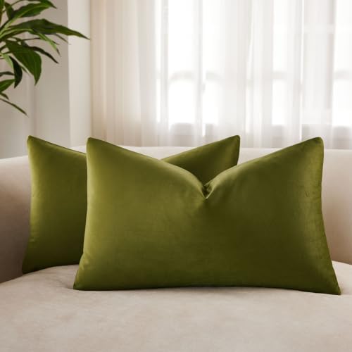 JUSPURBET Velvet Pillow Covers Set of 2 Decorative Throw Pillow Covers for Couch Sofa Bed Soft Lumbar Cushion Covers with Hidden Zipper for Living Room Home Decor,Olive Green,14x24 inch