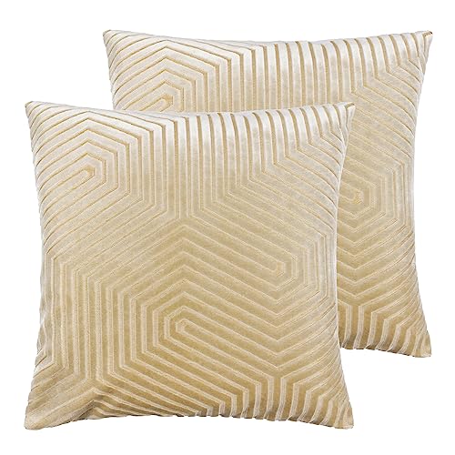 Paoletti Evoke Cut Velvet Feather Filled Cushion - Twin Pack