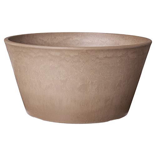 Arcadia PSW Pot TD25TP Collection Shallow Bulb Pan Planter for Succulents, Bonsai, Fairy Gardens, Herbs, 10-inch, Taupe, Plastic Stone Wood