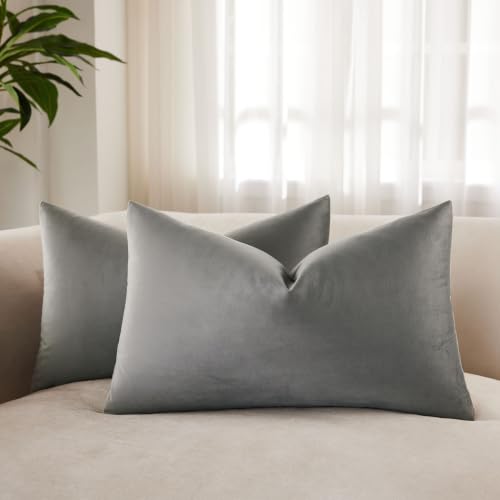 JUSPURBET Lumbar Throw Pillow Covers Soft Velvet Solid Square Decorative Throw Pillow Covers with Invisible Zipper for Living Room Sofa Bedroom 16x24 Inch 2 Pieces Grey