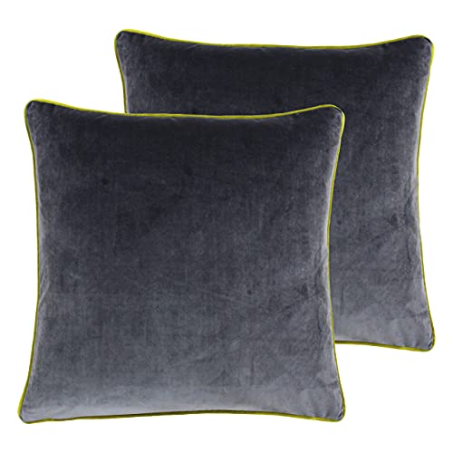 Paoletti Meridian Polyester Filled Cushions Twin Pack