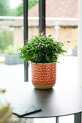 Ivyline Titian Reactive Glaze Planter H16Cm D16Cm